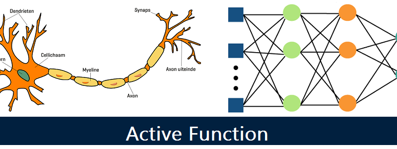 Active function