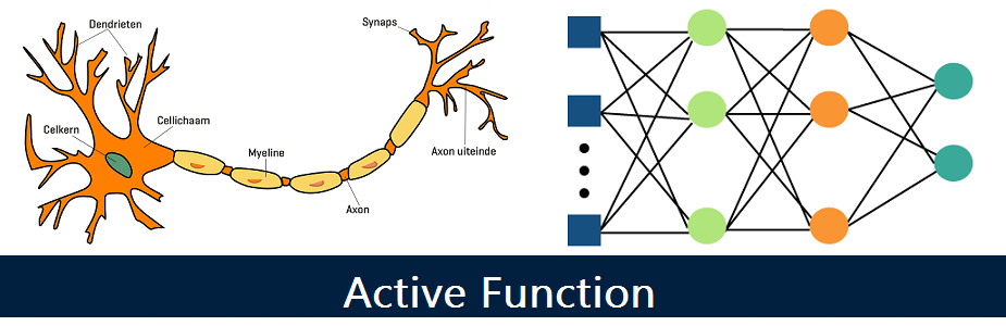 Active function
