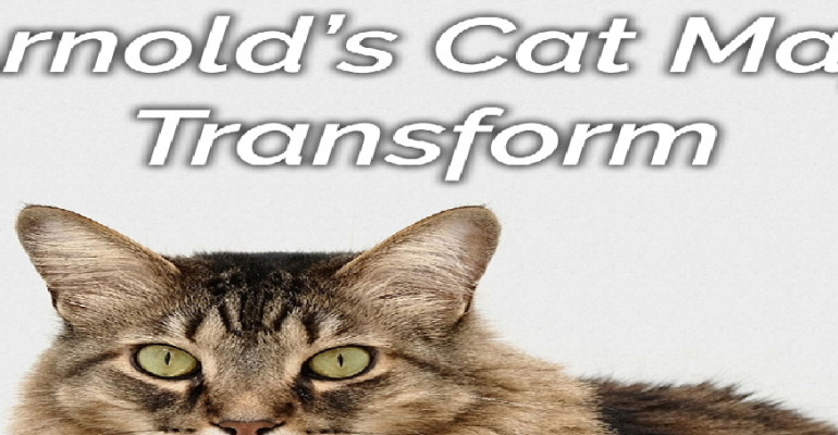 arnolds cat transform