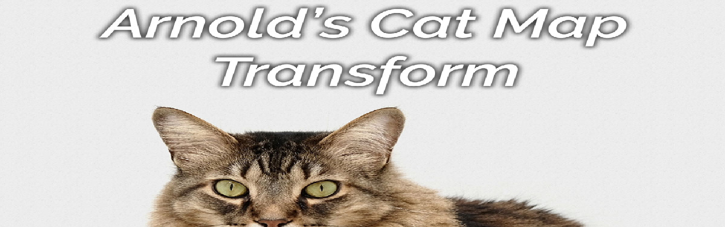 arnolds cat transform