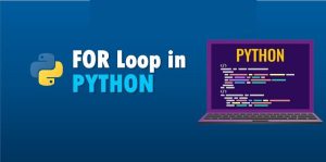 for in python