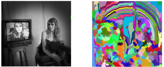 Image and its Segmentation