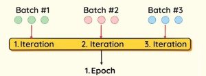batch epoch
