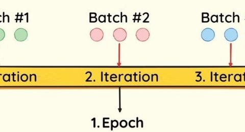 batch epoch