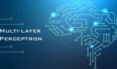 Multilayer-Perceptron-Tutorial
